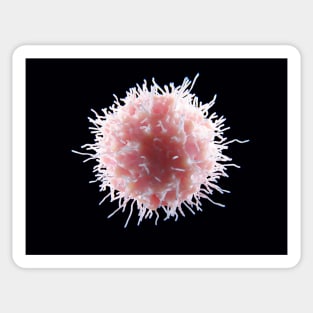 Natural killer cell, illustration, (F033/6127) Sticker